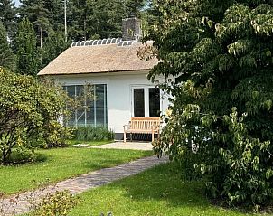 Pad naar Vakantiehuis in Ede omgeven door groen, Veluwe, Gelderland.