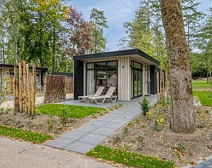 Terras van Wilgenhof vakantiehuis in Ede, Veluwe, met ligstoelen en groene omgeving.
