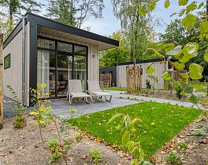 Zonnig terras van Wilgenhof vakantiehuis in Ede, Veluwe, omgeven door groen en rust.