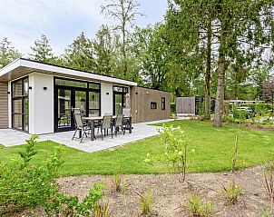 Module Exclusief vakantiehuis met terras in Ede, Veluwe, Gelderland, omringd door groene natuur.