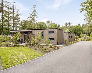 Buitenkant van Module Limited Edition, een vakantiehuis omgeven door natuur in Ede, Veluwe, Gelderland.