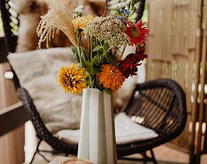 Gezellige veranda van Vakantiehuis in Emst, Veluwe, Gelderland met kleurrijke bloemen en comfortabele zitplek.