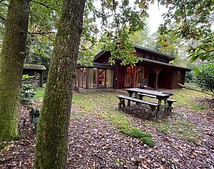 Guest house 3208111 - Holiday property Veluwe - Vakantiehuisje in Emst