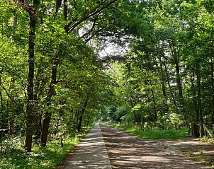 Guest house 3208111 - Holiday property Veluwe - Vakantiehuisje in Emst