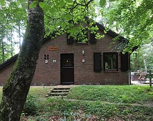 Unterkunft 3208118 - Ferienhaus Veluwe - Huisje in Emst