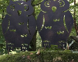 Unterkunft 3208118 - Ferienhaus Veluwe - Huisje in Emst