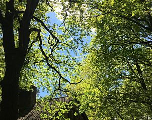 Unterkunft 3208118 - Ferienhaus Veluwe - Huisje in Emst