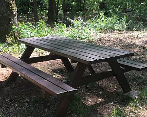 Unterkunft 3208118 - Ferienhaus Veluwe - Huisje in Emst