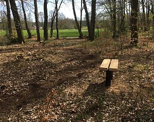 Unterkunft 3208118 - Ferienhaus Veluwe - Huisje in Emst