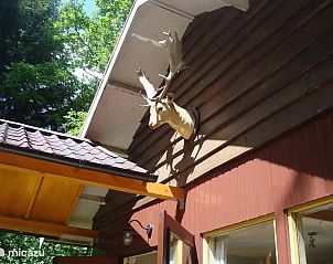 Verblijf 3208121 - Vakantiewoning Veluwe - Winterkoning