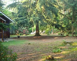 Verblijf 3208121 - Vakantiewoning Veluwe - Winterkoning
