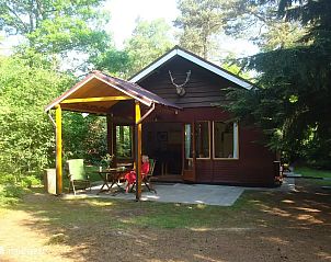 Verblijf 3208121 - Vakantiewoning Veluwe - Winterkoning