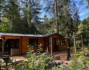 Verblijf 3208123 - Vakantiewoning Veluwe - Woodlandlodge