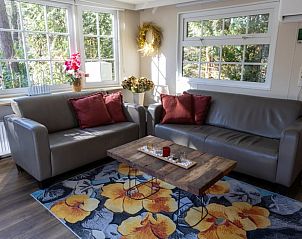 Attractive sitting area in Holiday Home in Emst, Veluwe, with colorful rug.