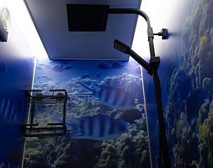 Stylish shower stall in Holiday home in Emst, Veluwe, with sea life decor.