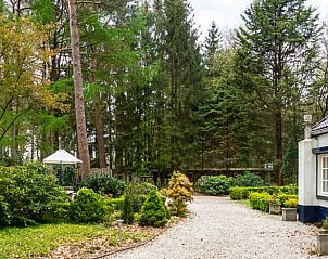 Guest house 320823 - Holiday property Veluwe - Vakantiehuis in Emst