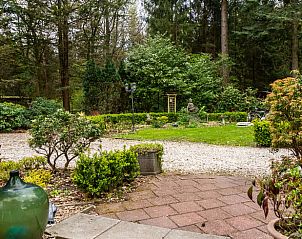 Guest house 320823 - Holiday property Veluwe - Vakantiehuis in Emst