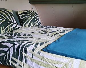 Unterkunft 320825 - Ferienhaus Veluwe - Vakantiehuisje in Emst