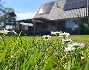 Unterkunft 320825 - Ferienhaus Veluwe - Vakantiehuisje in Emst
