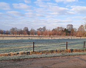 Unterkunft 320825 - Ferienhaus Veluwe - Vakantiehuisje in Emst