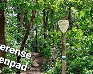 Unterkunft 320825 - Ferienhaus Veluwe - Vakantiehuisje in Emst