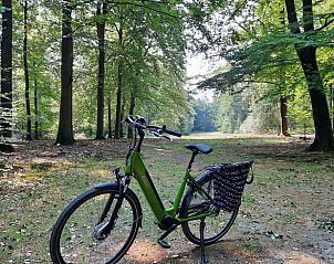 Unterkunft 320825 - Ferienhaus Veluwe - Vakantiehuisje in Emst