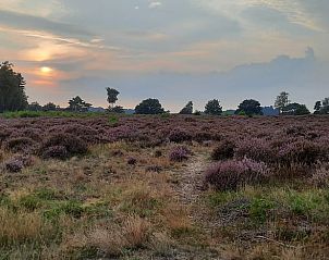 Unterkunft 320825 - Ferienhaus Veluwe - Vakantiehuisje in Emst