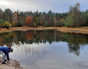 Unterkunft 320825 - Ferienhaus Veluwe - Vakantiehuisje in Emst