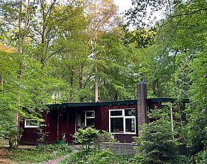 Guest house 320829 • Holiday property Veluwe • Vakantiehuis in Emst 