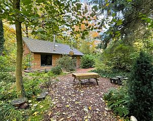 Vakantiehuis in Emst, een sfeervol vakantiehuis op de Veluwe, Gelderland, omringd door herfstkleuren en groene natuur voor een serene ontsnapping.