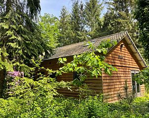 Verblijf 320830 - Vakantiewoning Veluwe - Vakantiehuis in Emst