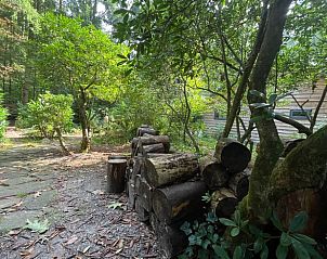 Verblijf 320830 - Vakantiewoning Veluwe - Vakantiehuis in Emst