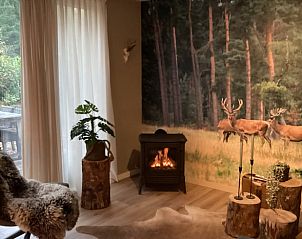 Cozy living room with fireplace in Cottage in Emst, Veluwe, Gelderland.