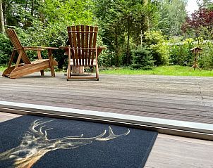 Terrace overlooking garden at cottage in Emst, Veluwe, Gelderland.