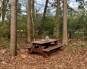 Picnic table in wooded garden of cottage in Emst, Veluwe, Gelderland.