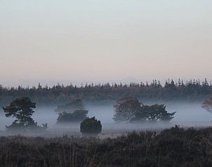 Beautiful misty sunrise at cottage in Emst, Veluwe, Gelderland.