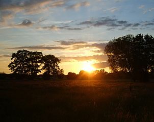 Unterkunft 320839 - Ferienhaus Veluwe - Vakantiehuis in Emst