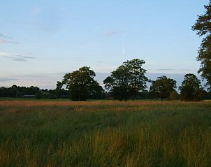 Unterkunft 320839 - Ferienhaus Veluwe - Vakantiehuis in Emst