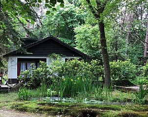 Huisje in Emst, vakantiehuis op de Veluwe, omgeven door weelderige natuur in Gelderland, biedt rust en privacy te midden van het groen.