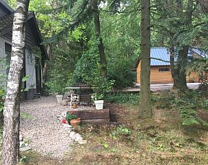 Rustiek terras bij Huisje in Emst, vakantiehuis op de Veluwe in Gelderland, omringd door groene natuur en serene bosomgeving.