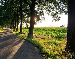 Verblijf 320842 - Vakantiewoning Veluwe - Huisje in Emst