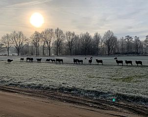 Verblijf 320842 - Vakantiewoning Veluwe - Huisje in Emst