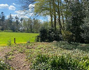 Guest house 320847 - Holiday property Veluwe - Huisje in Emst