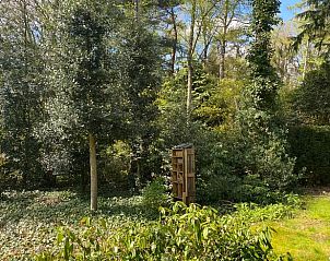 Guest house 320847 - Holiday property Veluwe - Huisje in Emst