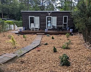 Vacation cottage in Emst in the Veluwe, Gelderland, with wooden terrace and surrounded by nature. Perfect place for relaxation and outdoor activities.