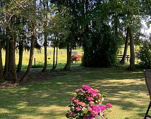 Prachtige tuin van Vakantiehuisje in Emst met bloemen en bomen, Veluwe, Gelderland.