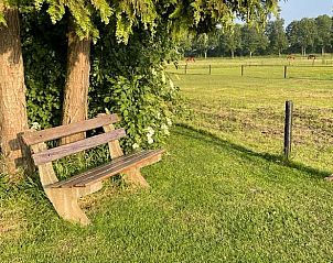 Rustieke tuinbank in Vakantiehuisje in Emst met uitzicht op velden, Veluwe, Gelderland.