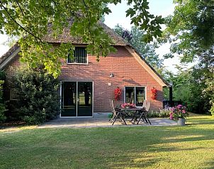 Achtertuin van Vakantiehuisje in Emst met terras, Veluwe, Gelderland.