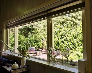 Guest house 320852 - Holiday property Veluwe - Huisje in Emst