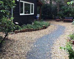 Guest house 320852 - Holiday property Veluwe - Huisje in Emst